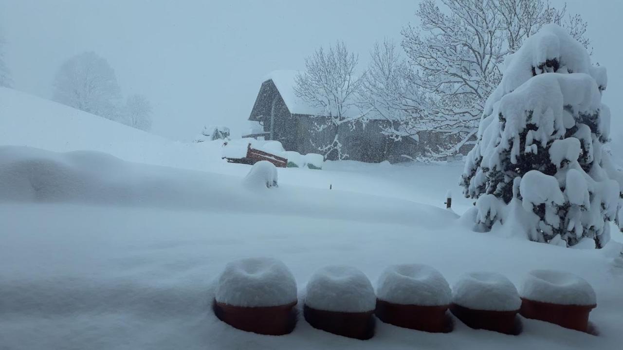 Snow+Surf B&B Lauenen Kültér fotó