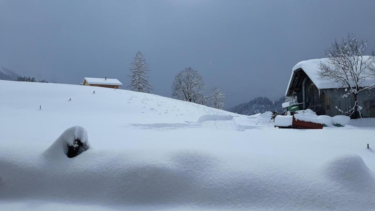 Snow+Surf B&B Lauenen Kültér fotó