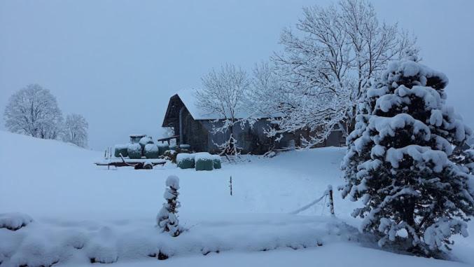 Snow+Surf B&B Lauenen Kültér fotó