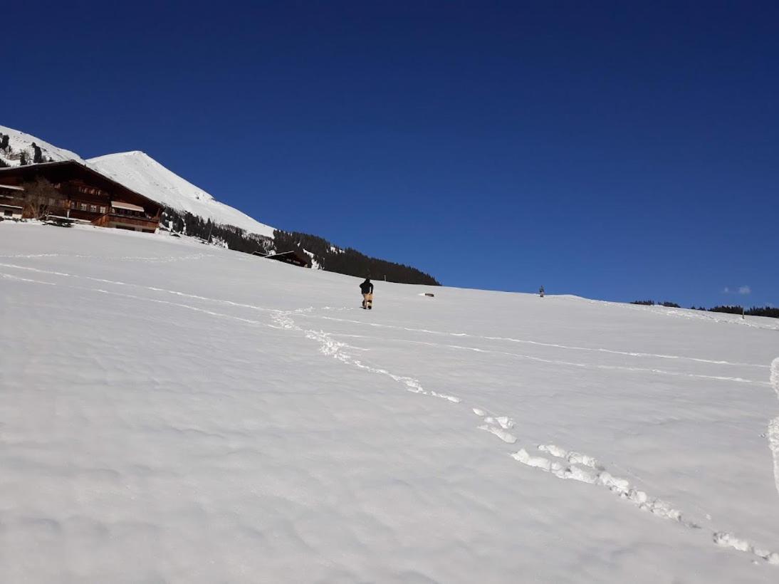 Snow+Surf B&B Lauenen Kültér fotó